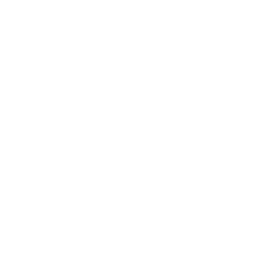 HPV Infection Cancer Cell
